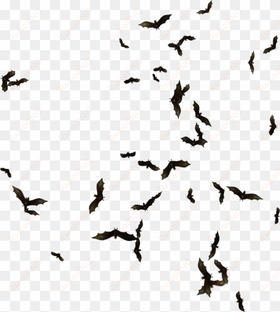 index of mapping objects clipart transparent library - swarm of bats png