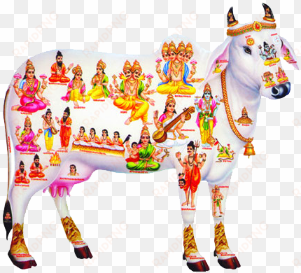 indian cow png download - kamadhenu