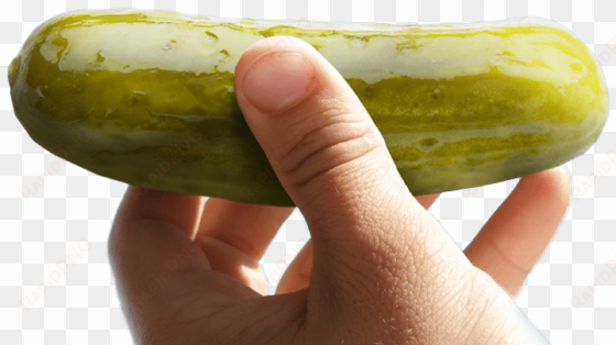 Individually Wrapped Dill Pickle Snack - Pickle Rick transparent png image