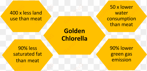 infographics showing the attributes of golden chlorella - big data