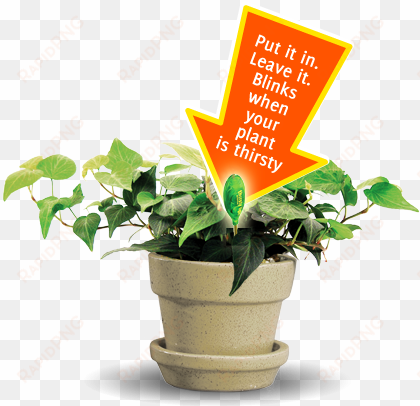 intuitive plant moisture sensor - houseplant