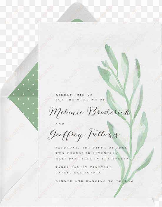 invitations in green greenvelope - olive branch png watercolour