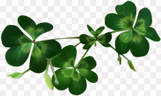 irish shamrock png download - shamrocks transparent