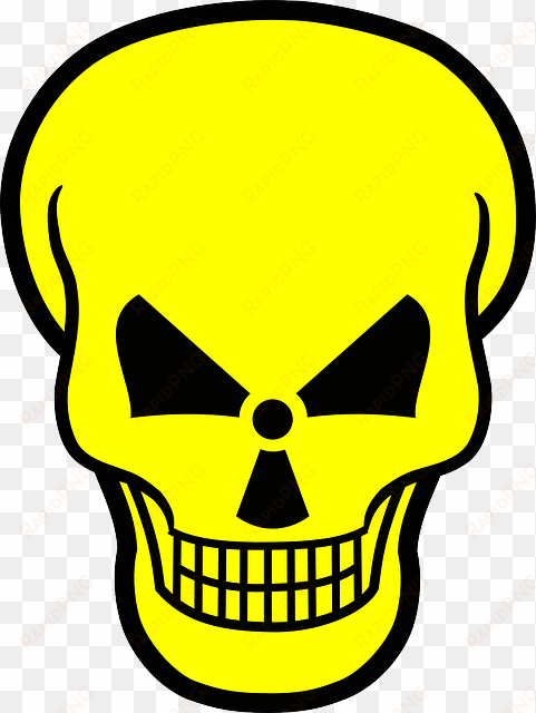 is radioactive food from fukushima being sent to your - skull and crossbones throw blanket