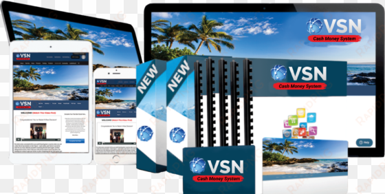 is vsn cash system a scam or easy $500 a day is vsn - travelers guide to a tropical vacation [book]