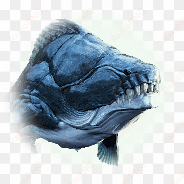 It Has Hard Scales And Sharp Teeth, And Its Strong - Margoria Black Desert transparent png image