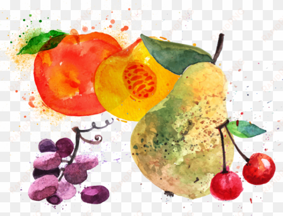 it is stored in a cool & shady part of the refrigerator - art print: anna42f's fruit watercolor peach, raspberry,