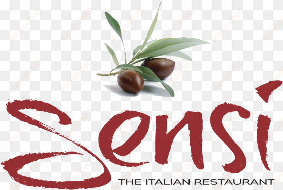 italian cuisine - graphic design