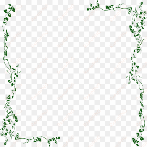 ivy vine clip art - vine border png