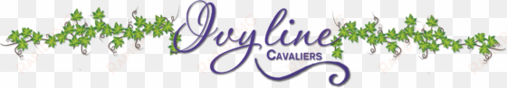 ivyline cavaliers - cleveland cavaliers