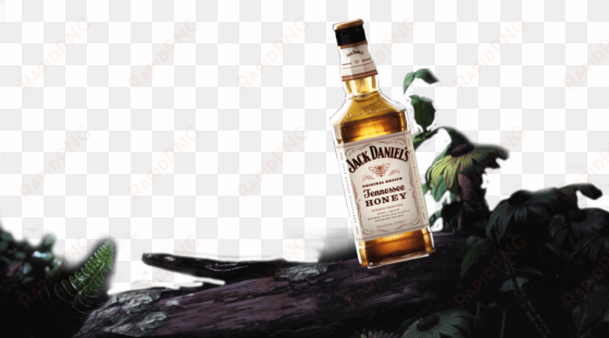 jack daniels - jack daniel's