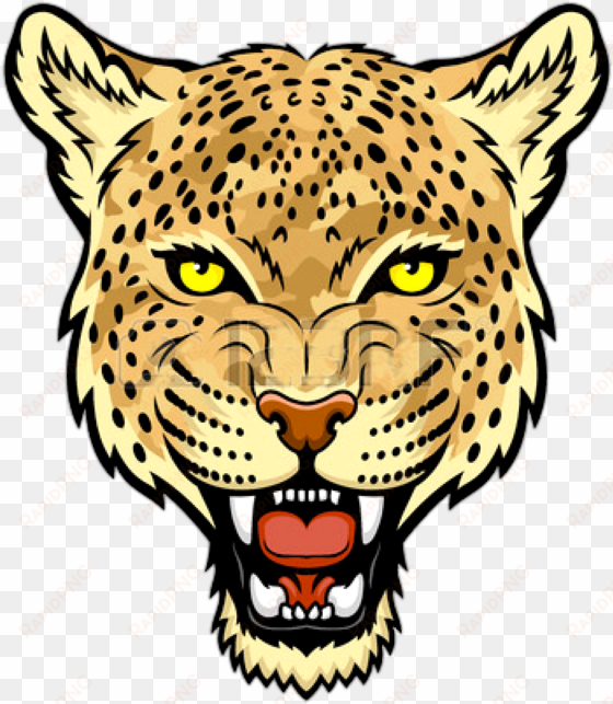 jaguar face transparent picture - leopard face clip art