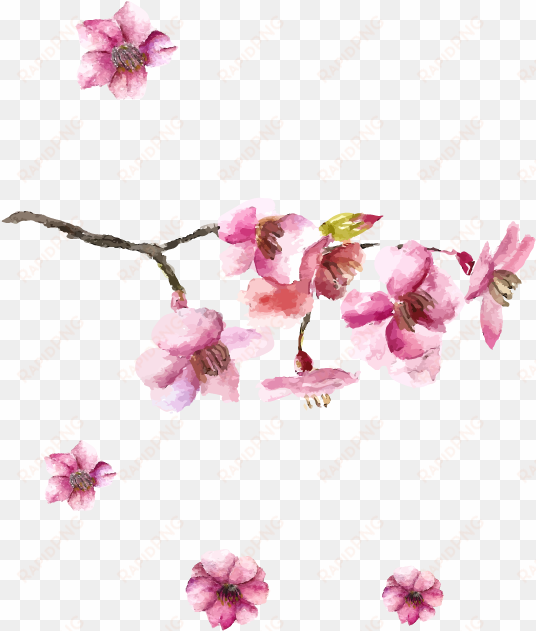 Japanese Art Cherry Blossom Drawing - Cherry Blossom Japan Art transparent png image