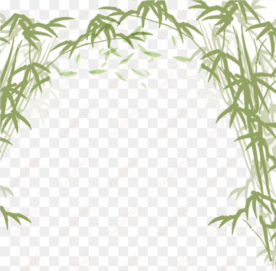 Japanese Bamboo Shower Curtain transparent png image