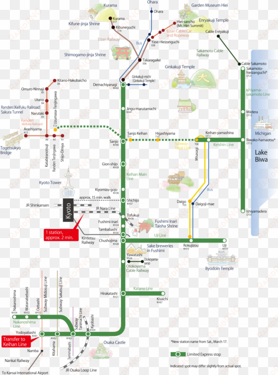 japanese cherry blossoms special - diagram