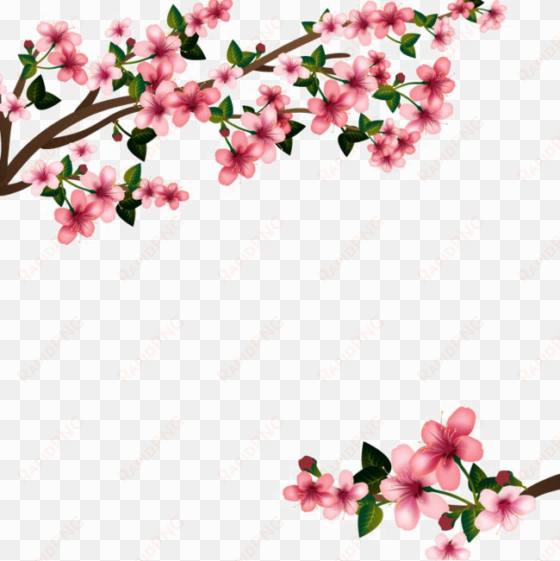 Japanese Flowering Cherry Png Transparent Image - Vector Cherry Blossom Design transparent png image