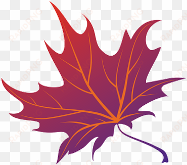 japanese maple png