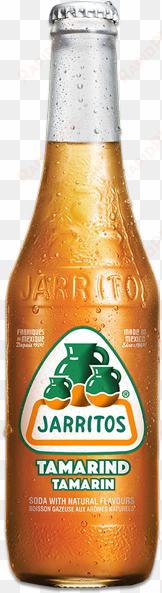 jarritos tamarind - jarritos tamarind 12.5 oz