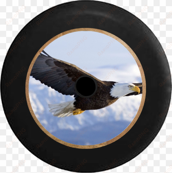 jeep wrangler jl backup camera soaring american bald - eagle flying painting