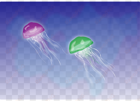 jellyfish la medusa moon jelly computer icons - jellyfish