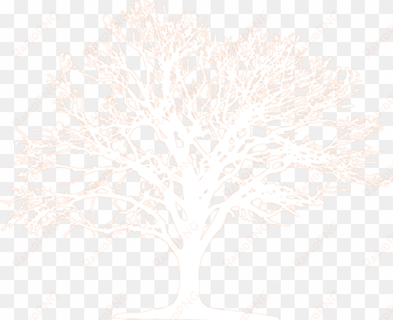 Join The People Of Congo Basin And Share Your Wish - Crochet Snowflakes transparent png image