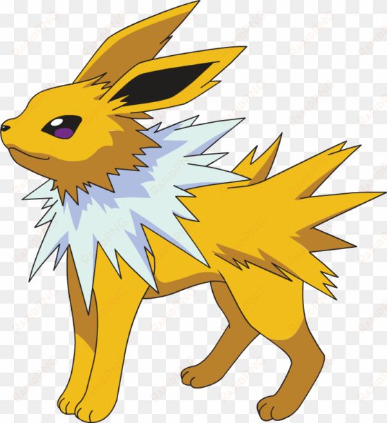 jolteon eevee evolution pokemon