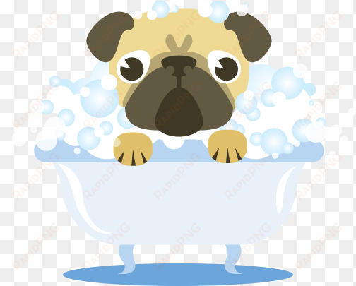 jpg black and white download dog brush clipart - pug tomando banho desenho