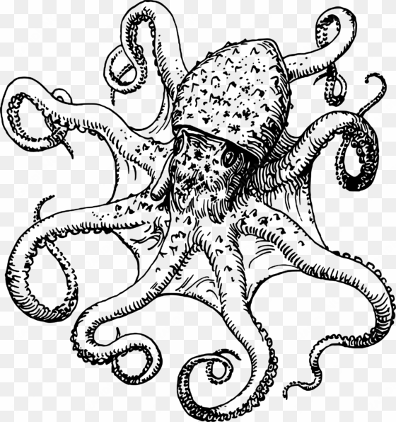 jpg free download octopus drawing images at getdrawings - black and white octopus clip art