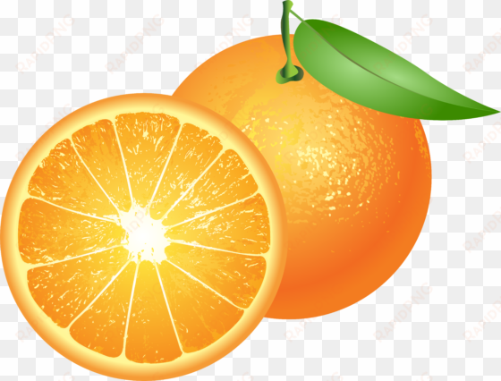 jpg freeuse download oranges clipart emoji