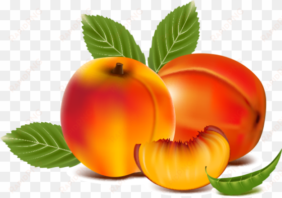 jpg library library juice peach transprent png free - peach fruit clipart