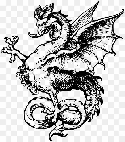 jpg library stock drawing borders dragon - medieval dragon