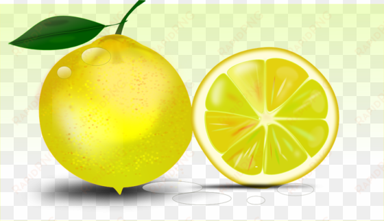 juice citrus lemon-lime drink lemonade - dibujo de lemon