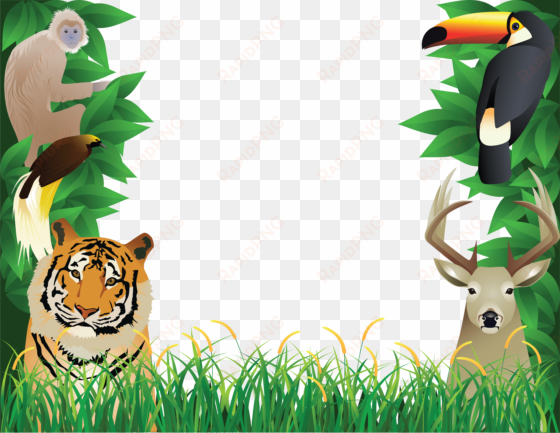 jungle animal background clipart - animal photo frame hd