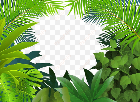 Jungle Clipart Palm Tree - Rainforest Jungle Clipart transparent png image