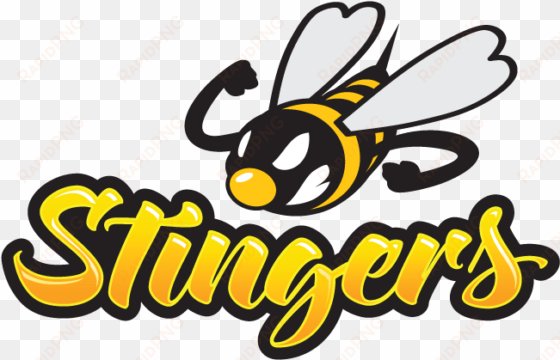 junior varsity programs - stingers basketball logo