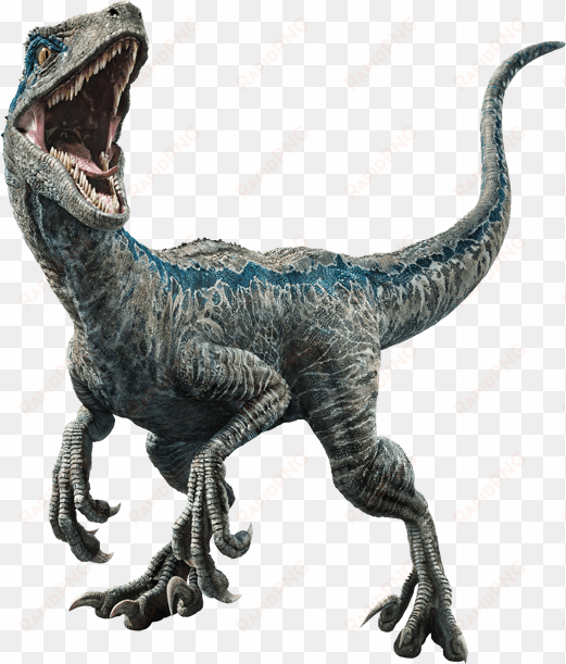 jurassic world fallen kingdom blue v3 by sonichedgehog2-dc9x53o - velociraptor blue