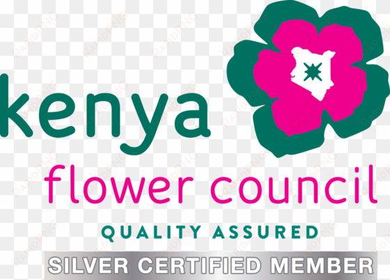 kenya flower council - kenya flower council silver