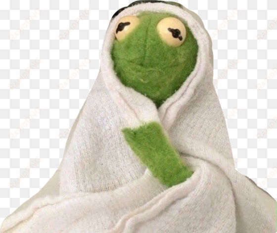 kermit blanket meme