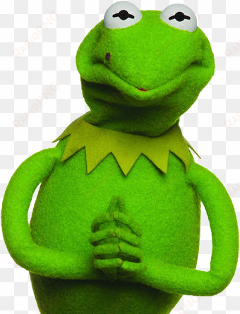 kermit the frog angry - constantine muppet