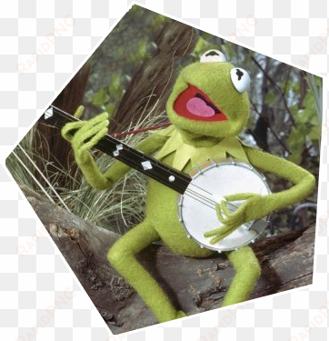 kermit the frog - fuck has the weekend gone