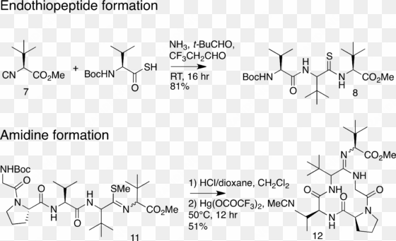 key steps in alternative macrocycle synthesis - macrocycle