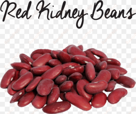 kidney beans png transparent image - red kidney beans png