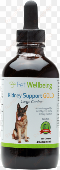 kidney support gold for dogs and cats - pet wellbeing - kidney support gold for large breed