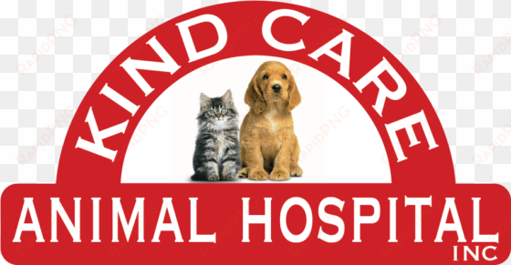 kind care animal hospital - rescued is my favorite bree square sticker 3" x 3"