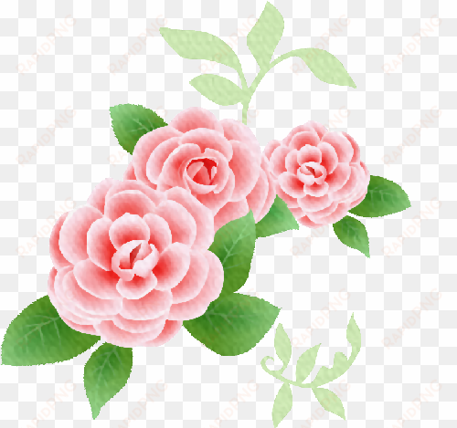 kit de rosas y flores vintage para diseños png - rosas vintage png