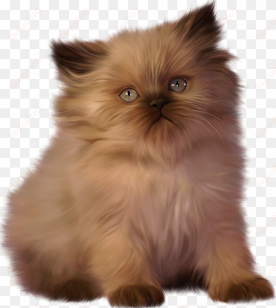 kitten persian clip art transprent png free - ragdoll cat clipart