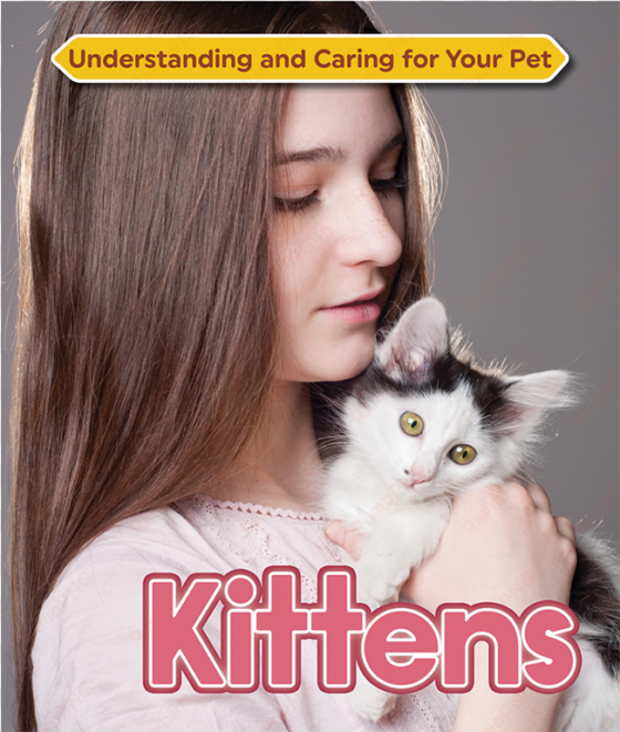 kittens - kittens by claire horton-bussey 9781422237007 (hardback)