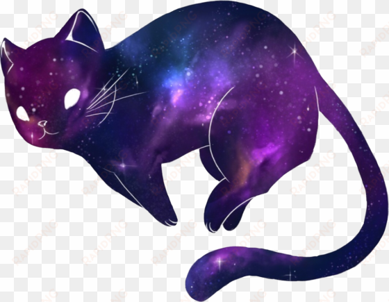 kitty cat galaxy galaxycat galaxykitty kitten cute