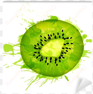 kiwi fruit slice made of colorful splashes on white - kiwifruit