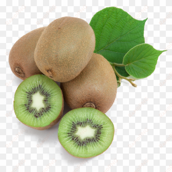 kiwi vines - kiwi fruits water png